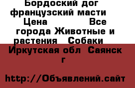 Бордоский дог ( французский масти)  › Цена ­ 50 000 - Все города Животные и растения » Собаки   . Иркутская обл.,Саянск г.